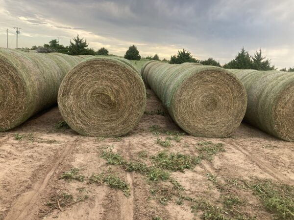 Alfalfa 5 x 5 Medium Round Bales