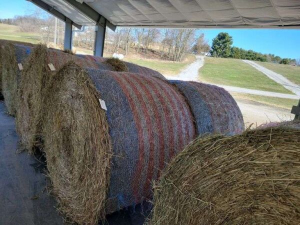 Quality 4’x5′ Round Bales – Mixed Grasses Alfalfa-Orchard-Timothy mixed